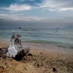 Sebalang Beach Lampung