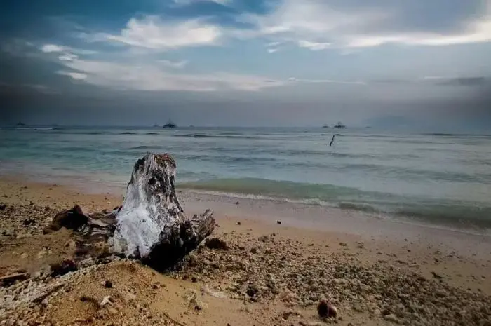 Sebalang Beach Lampung
